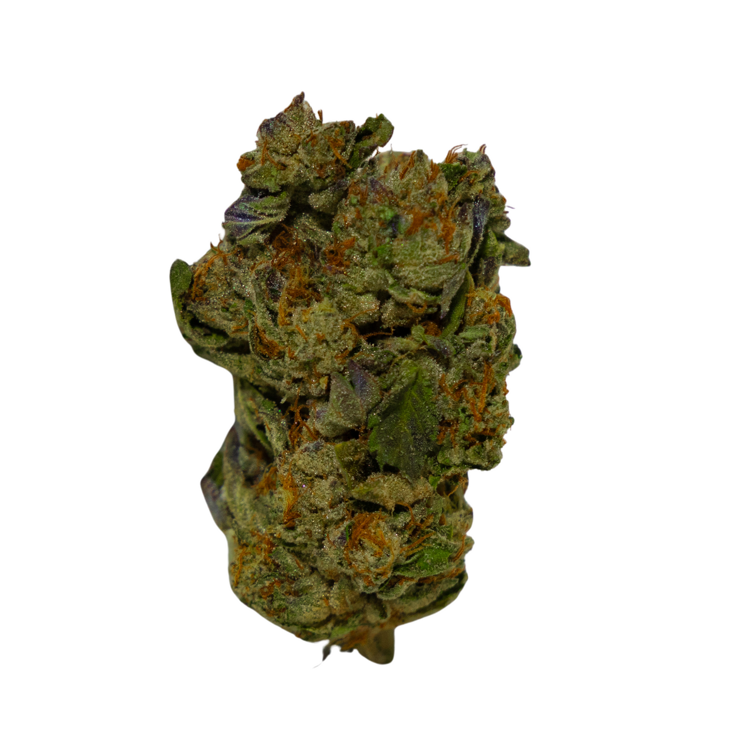 white hawk guava (gold)