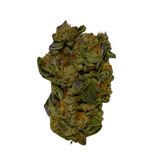 white hawk guava (gold)