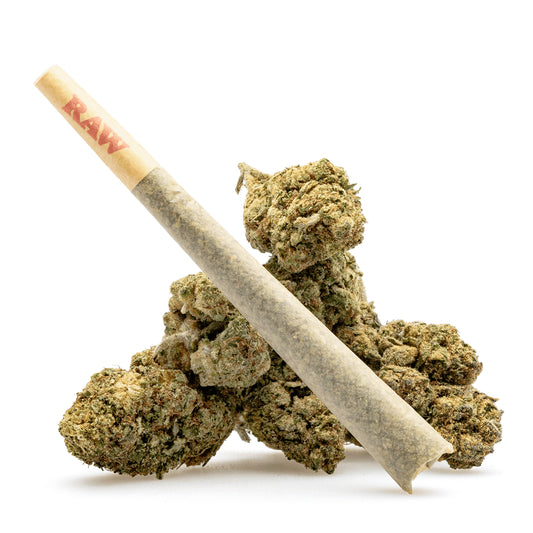 iso coated preroll 2 pack