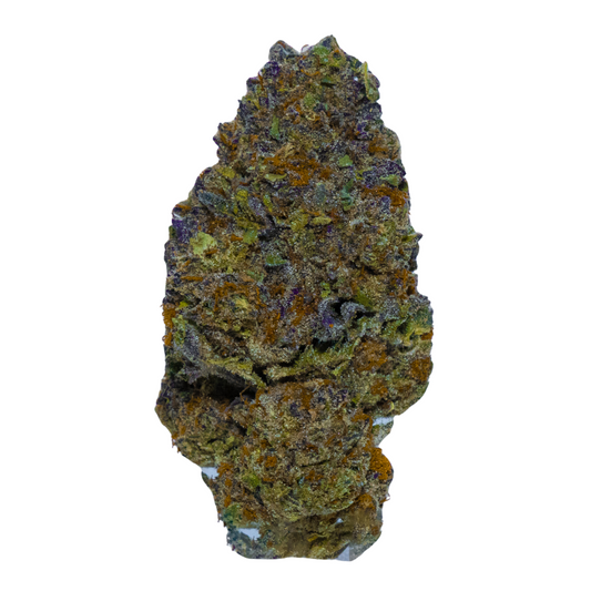 gelato 41 (gold)